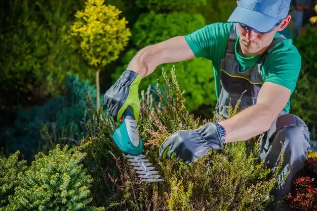 landscaping services Pultneyville